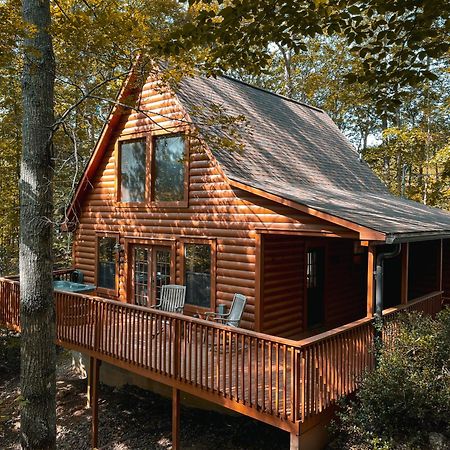 Great Smoky Mountains Cabin!, Secluded, Pet-Kid Friendly! سيفيرفيل المظهر الخارجي الصورة