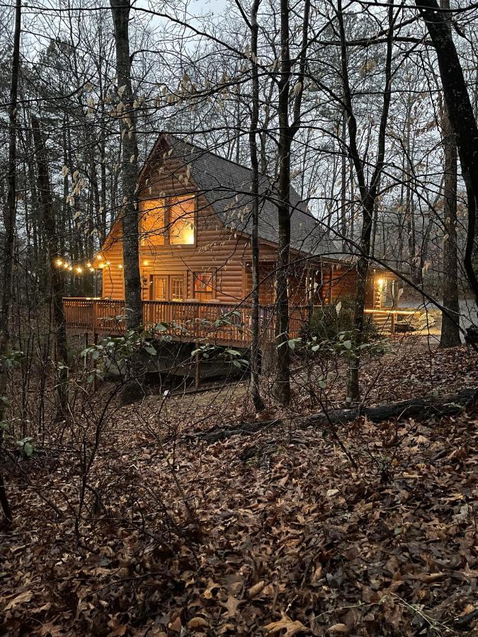 Great Smoky Mountains Cabin!, Secluded, Pet-Kid Friendly! سيفيرفيل المظهر الخارجي الصورة